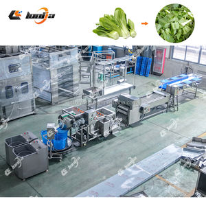 Lavadora de Burbujas para Pimientos y Achicoria a Pequeña Escala, Cortadora de Vegetales, Lavadora de Ensaladas, Línea de Producción de Ensaladas Frescas - Product Image 2