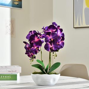 Grande Pianta di Orchidea Artificiale <span class=keywords><strong>in</strong></span> <span class=keywords><strong>Vaso</strong></span>, Composizione Floreale <span class=keywords><strong>in</strong></span> Seta con <span class=keywords><strong>Vaso</strong></span> <span class=keywords><strong>in</strong></span> Ceramica, Viola Scuro - Product Image 4