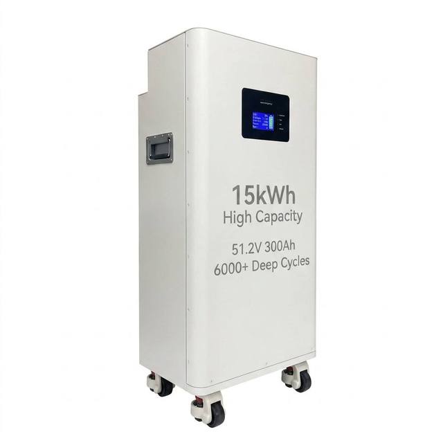 Professional 15kWh 51.2V LiFePO4 Energy Storage System 6000+ Deep Cycles Off-grid Solar Battery for Home Backup Power