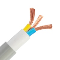 Câble de pompe Submersible à 4 fils, étanche, rond, 3C, 4MM, 2,5 mm2, 6 m², 10MM