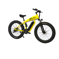 Vélo Électrique Pliant Fat Tire South Ron 48V 250W de Fabrication Chinoise - Meilleur Prix de Gros pour Hommes