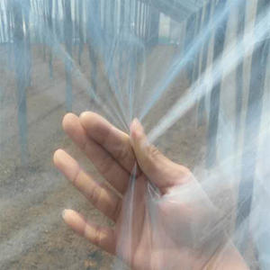 <span class=keywords><strong>Casa</strong></span> <span class=keywords><strong>verde</strong></span> de plástico <span class=keywords><strong>La</strong></span> Venta caliente más barata Agrícola/Comercial/Industrial Película de plástico Invernadero Túnel Caminar en <span class=keywords><strong>casa</strong></span> - Product Image 2