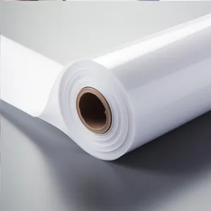 PVC vinile stampabile in vinile autoadesivo rotola di stampa digitale autoadesivo vinile noritsu qsf v30 pellicola processore
