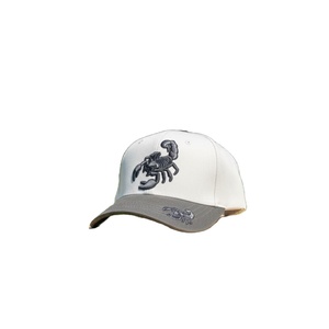 Gorra de Béisbol Beige Bicolor con Bordado 3D Vintage, Estilo Deportivo Casual para Exteriores, Visera Ligeramente Curvada, Ajustable con Letras, para Adulto, 100% - Product Image 1
