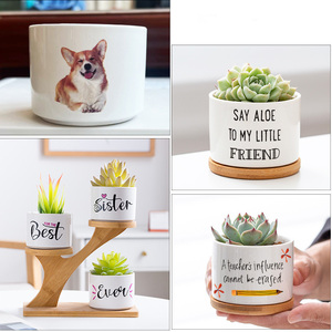 Jardinières de bureau en céramique, <span class=keywords><strong>mini</strong></span> pot pour <span class=keywords><strong>plantes</strong></span> <span class=keywords><strong>succulentes</strong></span> avec plateau en bambou, motif personnalisé, pot à fleurs pour étagère, chambre à coucher - Product Image 2