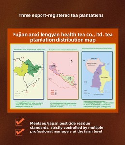 Té <span class=keywords><strong>Oolong</strong></span> 100% Natural, Hojas de Té <span class=keywords><strong>Oolong</strong></span> de Primera Calidad, Nuevo Té <span class=keywords><strong>Oolong</strong></span> de Alta Gama, Tie Guan Yin, Té de Hojas Sueltas de Alta Montaña, Venta al Por Mayor - Product Image 6