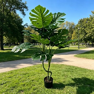 Artificial Turtleback Tree with Green Plastic Leaves Potted Indoor Plant - Product Image 5