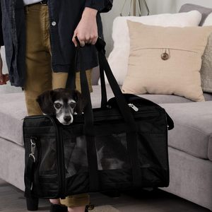 Sac de transport pour chat de haute qualité, en cuir durable, imprimé Oxford, avec fermeture éclair, respectueux de l'environnement, approuvé par les compagnies aériennes, pour les voyages - Product Image 2