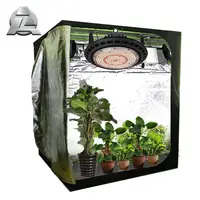 Indoor Mini Tunnel Greenhouse Grow Tent, Complete Kit