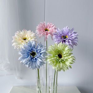 ดอกเจอร์เบอร์ราสีสันสดใสสำหรับจัดดอกไม้ <span class=keywords><strong>ราคา</strong></span>สุดคุ้ม โปรโมชั่นลดราคา - Product Image 1