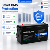 Batterie au lithium fer phosphate 12,8 V 300 Ah pour système solaire hors réseau, batterie à décharge profonde, remplace les batteries au plomb-acide, livraison rapide locale UE/US.