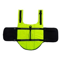 Gilet de sauvetage pour chiens de petite, moyenne et grande taille, maillot de bain, gilet de sécurité réfléchissant, vêtements pour chiots, gilet de sauvetage pour chien pour la baignade