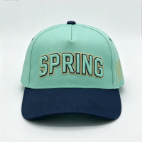 Gorra de Béisbol Unisex Ajustable de 6 Paneles con Logotipo Personalizado Bordado en 3D de Alta Calidad al por Mayor