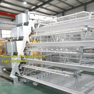 Equipo Avícola para Cría de Pollos, Jaulas para Gallinas Ponedoras Tipo A, Galvanizadas, Anticorrosivas, de Alta Densidad para Granjas Comerciales de Huevos - Product Image 1