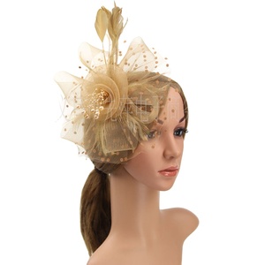 Flower Mesh Ribbons Feathers on a <strong>Headband</strong> and a Clip Tea Party Headwear for Girls and Women <strong>Fascinators</strong> Hat - Product Image 1