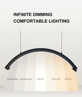 Lampe de beauté suspendue réglable, luminaire LED suspendu au plafond pour extension de cils, tatouage, salon de manucure