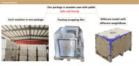 Siv Professional SIVLP1H Cap Machine à broder Tête unique Moteur automatique informatisé 1200 RPM Garantie 2 ans État neuf