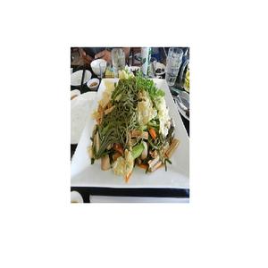 Moringa Oleifera คุณภาพสูงจากเวียดนาม - Product Image 1