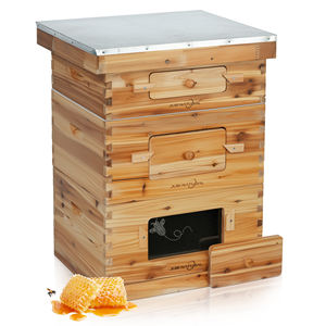 Sistema Avanzado de Cajas de Madera para Colmenas: Diseño Profesional de Observación con Marcos Langstroth Incluidos - Product Image 4