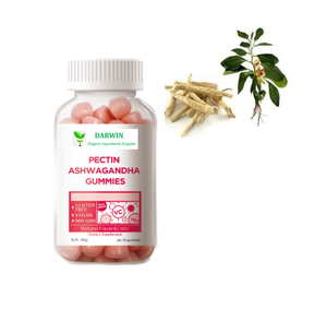 Extrait <span class=keywords><strong>de</strong></span> plante <span class=keywords><strong>Ashwagandha</strong></span> 2.5% 5% Withanolides Withania Somnifera <span class=keywords><strong>Poudre</strong></span> <span class=keywords><strong>d</strong></span>'extrait <span class=keywords><strong>de</strong></span> <span class=keywords><strong>racine</strong></span> <span class=keywords><strong>d</strong></span>'<span class=keywords><strong>Ashwagandha</strong></span> - Product Image 4