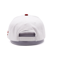 Casquette de baseball personnalisée à 5 panneaux pour papa, motif fruité sportif en popeline, logo brodé 3D, course à pied, sport, homme