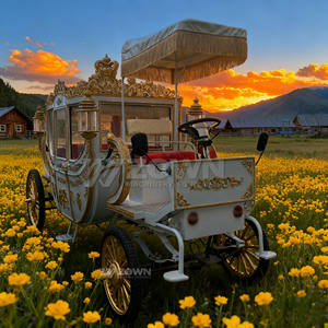 Lüks Kraliyet Prens Arabası, Düğün Arabası, Turistik Araba, Gezi İçin Kullanımlık Kraliyet Aracı - Product Image 5