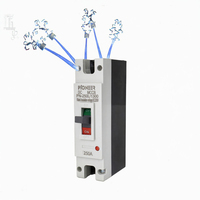Disjoncteur à boîtier moulé DC 250V MCCB 32A-250A 50kA IP20, unité de déclenchement thermique-magnétique, contact industriel argenté, 1 pôle
