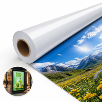 Papel Fotográfico en Rollo TREES PH-ECO-280 de Alto Brillo, Resistente al Agua, Compatible con Tinta Eco-Solvente UV, para Impresión de Pósters