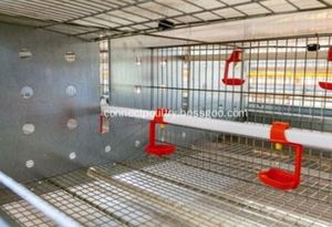 Hoàn thành tự động pullets nuôi động vật lồng hệ thống chăn nuôi gia cầm Thiết bị chăn nuôi gà lồng hệ thống - Product Image 5