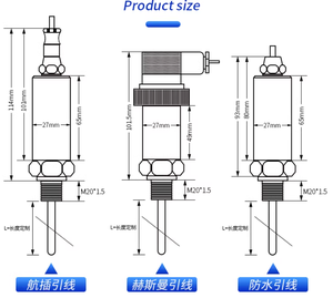 Transmetteur de température industriel 4-20 mA HART réglable avec filetage RTD PT100 PT1000 - Product Image 3