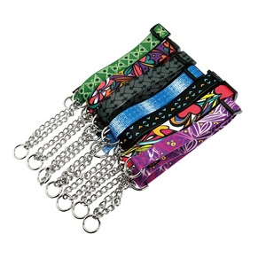 Collar de Adiestramiento para Perros, Ecológico, de Hierro, Tipo Martingala, Triangular, Ajustable, con Correa de Tela - Product Image 1