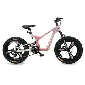WQL – vélo de sport pour enfants 4,5,6 ans, nouveau design, bon marché, prix de gros, usine chinoise