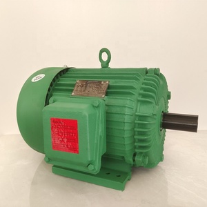 Moteur à induction triphasé de qualité supérieure, à rendement optimal, faible coût d'entretien, fourni directement par l'usine de moteurs. - Product Image 2