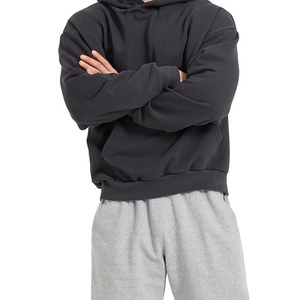 Conjunto Deportivo de 2 Piezas para Hombre, Otoño, Bordado, Sudadera con Capucha y Pantalones Deportivos, Cierre de Cremallera, Estilo Casual, para Gimnasio, Antiarrugas - Product Image 5