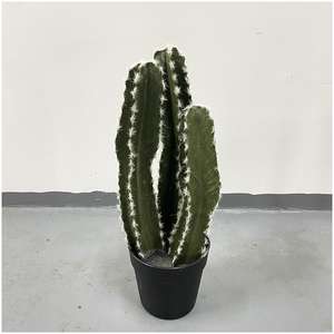 Grand Cactus Artificiel en Pot pour Bureau, Décoration d'Automne, Fleurs et Couronnes Décoratives, Vente en Gros - Product Image 5
