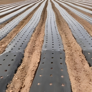 <span class=keywords><strong>Film</strong></span> de paillage perforé Pro PE blanc-noir 1,2 m, blanc réfléchissant, bloque l'herbe, trous de plantation - Product Image 1