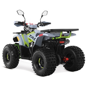 Tao <span class=keywords><strong>Motor</strong></span> 2024 Off-Road Farm Barato Gas Powered Cuatrimoto Quadricycle <span class=keywords><strong>Motor</strong></span> automático <span class=keywords><strong>de</strong></span> 4 tiempos 110cc 125cc ATV para niños - Product Image 6