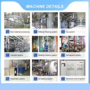 Bán các sản phẩm nổ của máy sấy đông lạnh thương mại máy sấy đông lạnh thực phẩm lớn cho đậu bắp và trái cây - Product Image 2