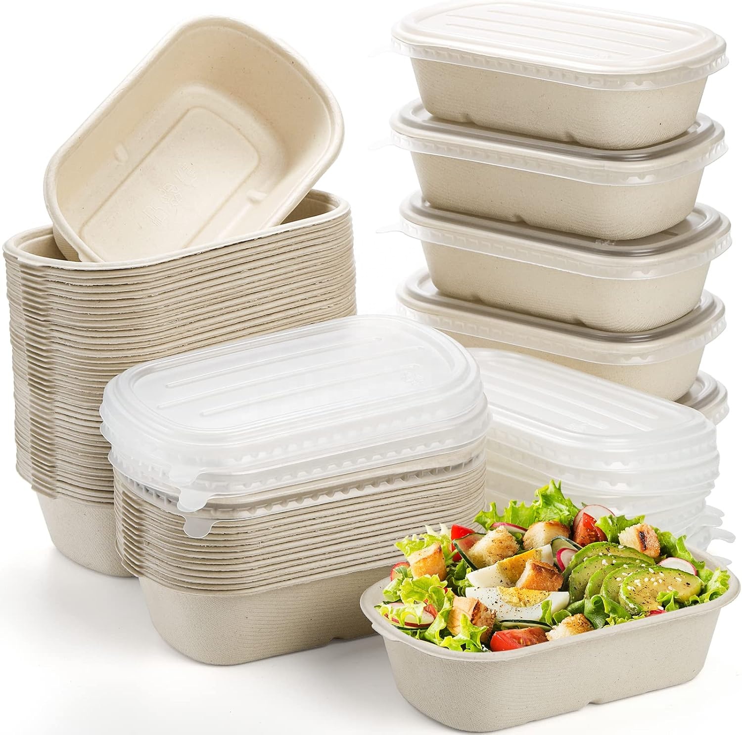 100% Natural Eco Friendly Disposable Biodegradable & Compostable Sugarcane Bagasse Paper Pulp Takeout 500ML Box