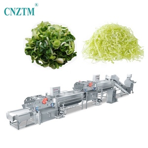 Ligne d'équipement automatique de découpe, <span class=keywords><strong>lavage</strong></span> et séchage de fruits et légumes, machines de transformation de fruits et légumes, capacité de 500 kg/h - Product Image 4