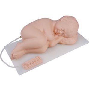 Modelo de Punción Lumbar Infantil, Maniquí de Punción Lumbar para Bebés, Simulador de Entrenamiento Médico Pediátrico - Product Image 2