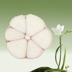 Ail séché - Fourni <span class=keywords><strong>en</strong></span> grandes quantités par Huaran. Il <span class=keywords><strong>a</strong></span> une teneur élevée <span class=keywords><strong>en</strong></span> matière sèche et une faible teneur <span class=keywords><strong>en</strong></span> humidité. - Product Image 4