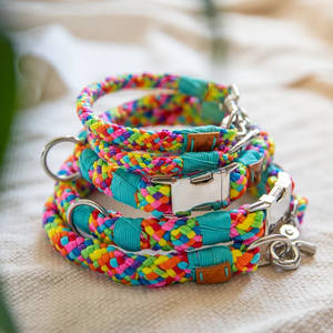 Set Kalung dan Tali Anjing Model Hands Free Baru 2025, Anyaman Warna Pelangi, Ukuran Kecil untuk Anak Anjing - Product Image 2