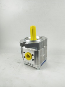 Bomba Hidráulica Eckerle, Bomba de Aceite EIPC5-064/80/100RK/RA/LK30-10, Bomba de Engranajes para Máquina de Moldeo por Inyección - Product Image 6