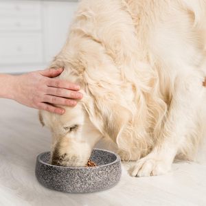 Bol pour chien en granit classique VSTONE - Durable et écologique, utilisation en camping, forme ronde, grande capacité - Product Image 6