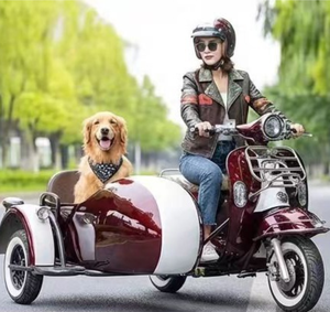 Motocicletta con sidecar CKD nera - Product Image 3