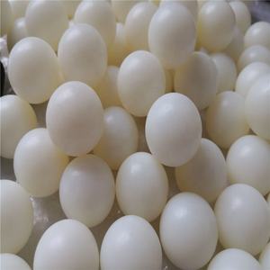 Sfere <span class=keywords><strong>Braille</strong></span> in Acrilico Trasparente per Integrazione su Segnaletica Grafica - Product Image 3