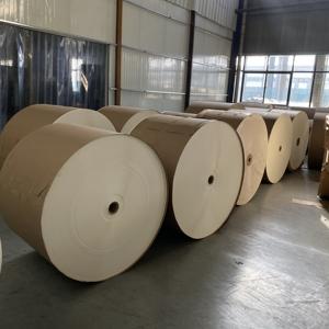 Rollo de Papel Kraft Recubierto de PE Brillante de 210 g/m², Color Marrón o Blanco, Material para Vasos, en Venta - Product Image 4