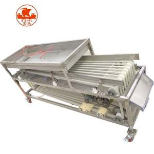 เครื่องคัดแยกเลมอนสำหรับทำความสะอาดและคัดแยกอโวคาโดมะเขือเทศอัตโนมัติ - Product Image 5