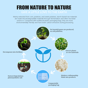 Bán Buôn Thân Thiện Với Môi 100% Phân Hủy Sinh Học Ủ Bột Ngô Poly Gửi Thư Túi Biểu Tượng Tùy Chỉnh Nóng Nhất Bao Bì Vớ Giày - Product Image 3